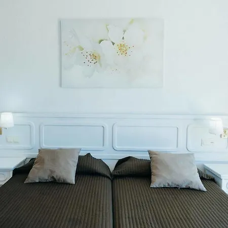 Hotel Neptuno Costadeje 3*